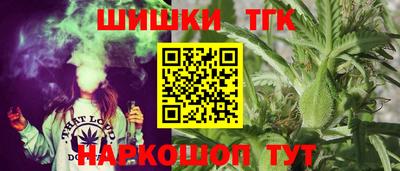 индика Владимир