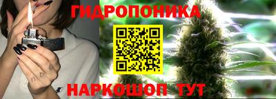 твердый Владивосток
