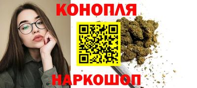 индика Владимир