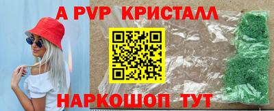 индика Владимир