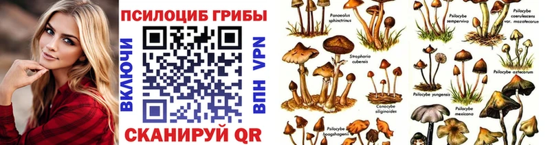 купить наркотики цена  Белебей  Псилоцибиновые грибы Cubensis 