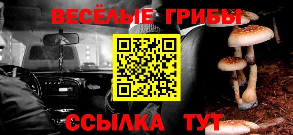 Галлюциногенные грибы Cubensis  Галлюциногенные грибы GOLDEN TEACHER  Белебей  Вход с VPN 